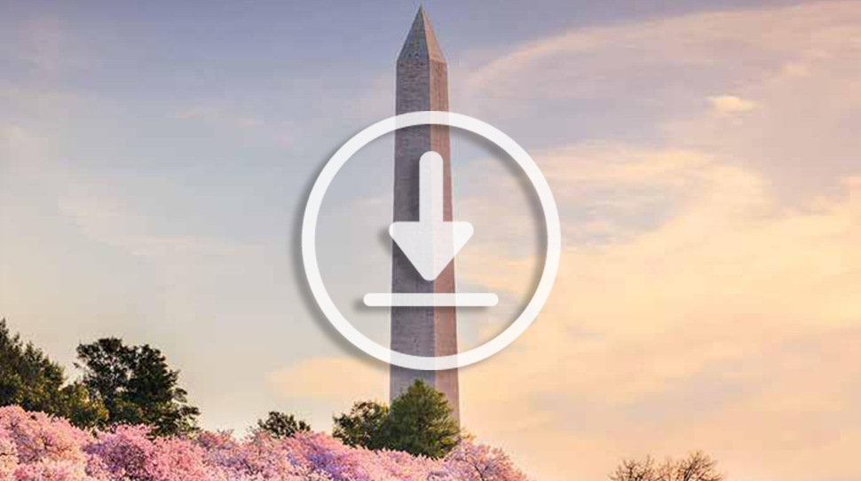 Obelisk